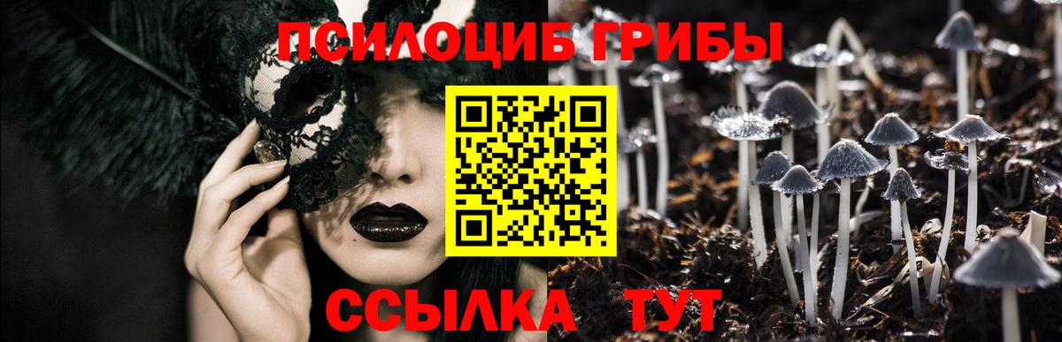 Галлюциногенные грибы Psilocybine cubensis  Вход с VPN  Сегежа 